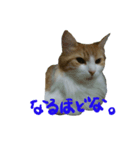 気まぐれアリサ 1（個別スタンプ：3）