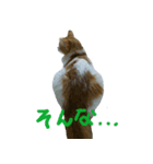 気まぐれアリサ 1（個別スタンプ：6）