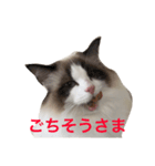 ららスタンプ（個別スタンプ：2）