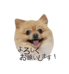 そらじろー3（個別スタンプ：7）