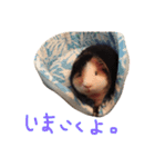 せおです。（個別スタンプ：24）