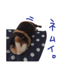 せおです。（個別スタンプ：28）