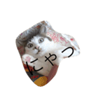 ひまなネコ（個別スタンプ：23）