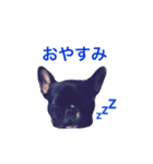 フレブルノアさんです2（個別スタンプ：5）