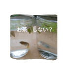 めだか たち（個別スタンプ：1）