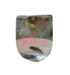 めだか たち（個別スタンプ：7）