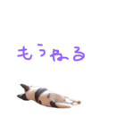 あしゅ（個別スタンプ：3）