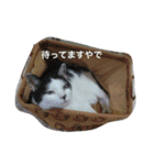 胡麻三郎と仲間たち〜日常使えますですやで（個別スタンプ：26）