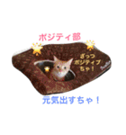 胡麻三郎と仲間たち〜日常使えますですやで（個別スタンプ：27）