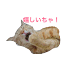 胡麻三郎と仲間たち〜日常使えますですやで（個別スタンプ：30）