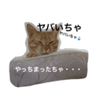 胡麻三郎と仲間たち〜日常使えますですやで（個別スタンプ：31）
