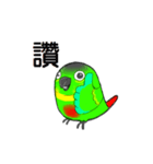 Little sun parrot（個別スタンプ：7）