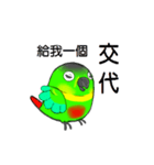 Little sun parrot（個別スタンプ：8）