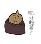 Soup package brother（個別スタンプ：10）