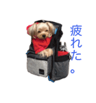 凛ちゃんの日常2（個別スタンプ：3）