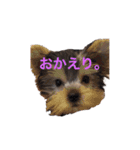 凛ちゃんの日常2（個別スタンプ：13）