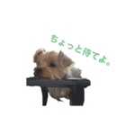 凛ちゃんの日常2（個別スタンプ：14）
