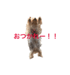 凛ちゃんの日常2（個別スタンプ：16）