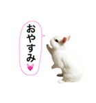 シャーロット（個別スタンプ：8）