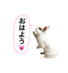 シャーロット（個別スタンプ：9）