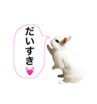 シャーロット（個別スタンプ：10）