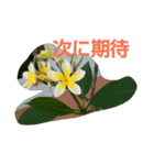 ハワイのお花（個別スタンプ：2）