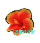 ハワイのお花（個別スタンプ：11）