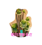 ハワイのお花（個別スタンプ：15）