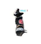 サブローくん祭りver.（個別スタンプ：2）