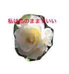 お花のキラキラメッセージ（個別スタンプ：15）