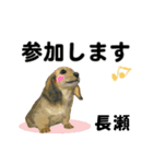 長瀬さん用の名前スタンプ・子犬イラスト（個別スタンプ：7）