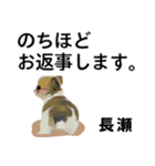長瀬さん用の名前スタンプ・子犬イラスト（個別スタンプ：11）