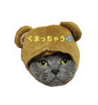 うちの子ら（個別スタンプ：10）