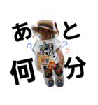 こうスタンプ3（個別スタンプ：2）