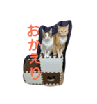 キティ＆ダニエル（個別スタンプ：7）