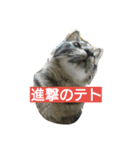 ちっこいテトさん。2（個別スタンプ：14）