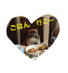 いぬのわさび 感情編！（個別スタンプ：35）
