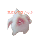 うさぎのふくさん。（個別スタンプ：6）