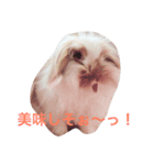 うさぎのふくさん。（個別スタンプ：10）
