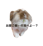 うさぎのふくさん。（個別スタンプ：14）