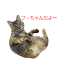 プーちゃんだよ（個別スタンプ：2）
