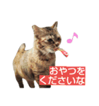 プーちゃんだよ（個別スタンプ：4）