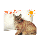 プーちゃんだよ（個別スタンプ：5）