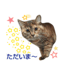 プーちゃんだよ（個別スタンプ：9）