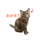 プーちゃんだよ（個別スタンプ：10）