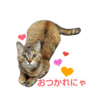プーちゃんだよ（個別スタンプ：11）