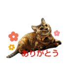 プーちゃんだよ（個別スタンプ：13）