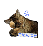 プーちゃんだよ（個別スタンプ：14）