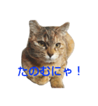 プーちゃんだよ（個別スタンプ：18）