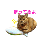 プーちゃんだよ（個別スタンプ：25）